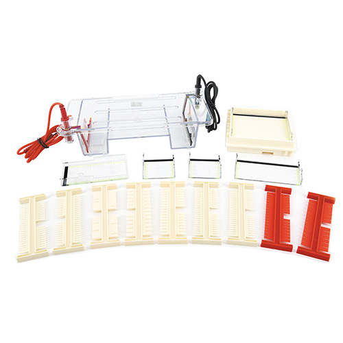 北京六一DYCP-31DN瓊脂糖水平電泳儀電泳槽 核酸電泳儀（小號(hào)）